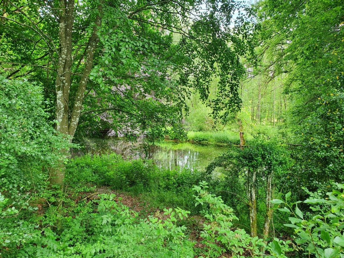 Vila Sur La Rive Vierre Suxy Exteriér fotografie